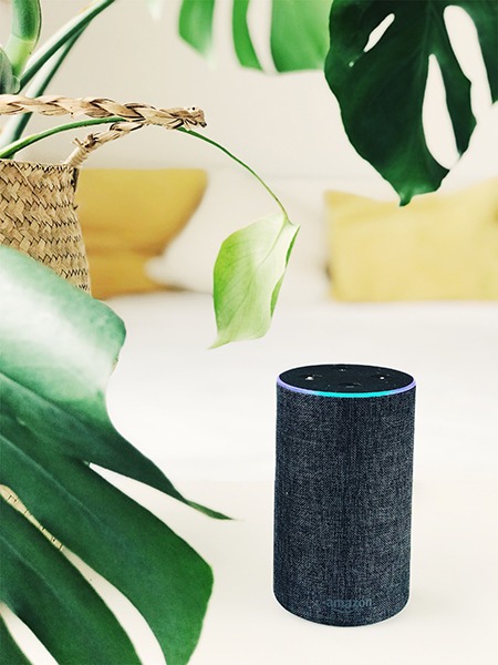 best devices that work with alexa
